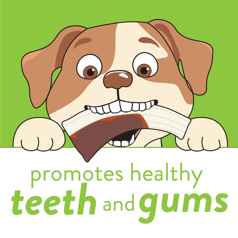 Spunky Pup Snack & Chew Antler Toy | Promotes Healthy Teeth & Gums | Medium - Image 5